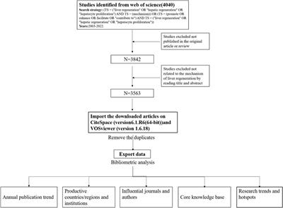 Mechanism of liver regeneration: 20-year bibliometric analyses